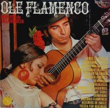 Roberto De Villargarcia &lrm;&ndash; Ole Flamenco NM / VG+ vinil, LP, disc muzica latino _ EPN, Franta