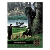 Harry Potter: the Film Vault - Volume 4