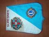 Fanion club LIONS SURESNES FRANTA