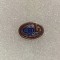 Insigna CMB Bocsa