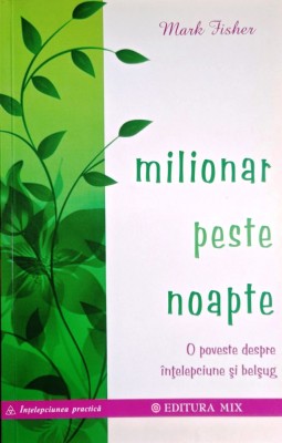 MILIONAR PESTE NOAPTE - MARK FISHER foto