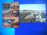 HOPCT LOT 2133 PALTINIS -JUD SIBIU -2 CARTI POSTALE-NECIRCULATE, Necirculata, Printata