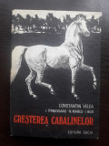 Cresterea cabalinelor - Constantin Velea / R3P3S, Alta editura