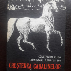 Cresterea cabalinelor - Constantin Velea / R3P3S