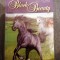 Anna Sewell - Black Beauty, retold Jenny Dooley, Lb Engleza