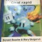 AMS4 Windows 98 - Ghid practic - discheta