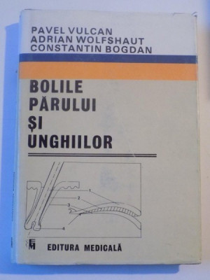 BOLILE PARULUI SI UNGHIILOR de PAVEL VULCAN...CONSTANTIN BOGDAN 1989 foto