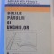 BOLILE PARULUI SI UNGHIILOR de PAVEL VULCAN...CONSTANTIN BOGDAN 1989