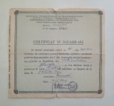 Certificat de incadrare a soferilor din 1964 - Ministerul Transporturilor si Telecomunicatiilor