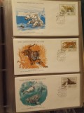 FAUNA WWF - 3 PLICURI PRIMA ZI