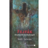 Fejf&aacute;k - Struktur&aacute;lt r&ouml;vidsz&ouml;vegek - S&uuml;li Istv&aacute;n