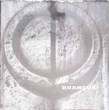 Brancusi. Album Fotografic Nicolae Sandulescu, Editura Meridiane 1965, Coperta Cartonata, Arta Romana