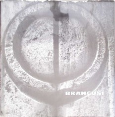 BRANCUSI. ALBUM FOTOGRAFIC-NICOLAE SANDULESCU-260444 foto