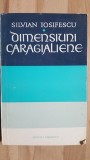 Dimensiuni caragialiene- Silvian Iosifescu