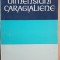 Dimensiuni caragialiene- Silvian Iosifescu