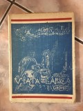 V. Copilu-Cheatra - Viata Langa Cer