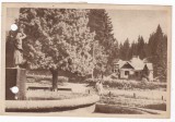 AMS - ILUSTRATA 1321, BORSEC - VEDERE DIN PARC, ANUL 1956, cu perforari