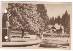 AMS - ILUSTRATA 1321, BORSEC - VEDERE DIN PARC, ANUL 1956, cu perforari