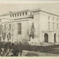 AMS# - ILUSTRATA/VEDERE - CONSTANTA - TEATRUL DE STAT RPR SEPIA NECIRCULATA