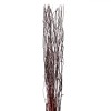 Set Crengi Decorative LED, 30 Becuri, Funcționare pe Baterii, Lungime 120cm, Lemn, Oem