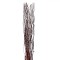 Set Crengi Decorative LED, 30 Becuri, Funcționare pe Baterii, Lungime 120cm, Lemn