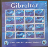 Gibraltar fauna WWF colita nestampilata, Europa