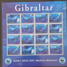 Gibraltar fauna WWF colita nestampilata
