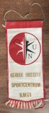 D10 112 - fanion strain - tematica sport - Centrul sportiv Nijmegen - Olanda