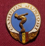 Insigna campion Juniori RSR