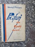 PICATURI DIN CANDELA DURERII...-GEORGE T. HASEGANU