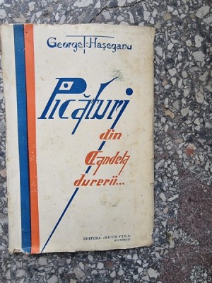 PICATURI DIN CANDELA DURERII...-GEORGE T. HASEGANU foto