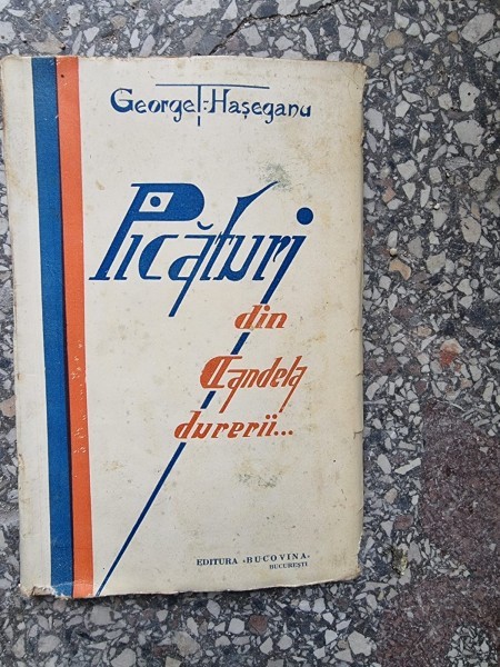 PICATURI DIN CANDELA DURERII...-GEORGE T. HASEGANU