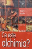 Cumpara ieftin Ce este alchimia? - 2004 - Pierre Laszlo (S148)