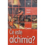 Ce este alchimia? - 2004 - Pierre Laszlo (S148)