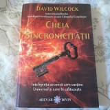 RARA, Cheia sincronicitatii. Inteligenta ascunsa care sustine Universul si care te calauzeste - David Wilcock 2014, 434 pagini, format mare, Adevar Divin
