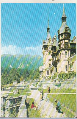 bnk cp Sinaia - Muzeul Peles - uzata foto