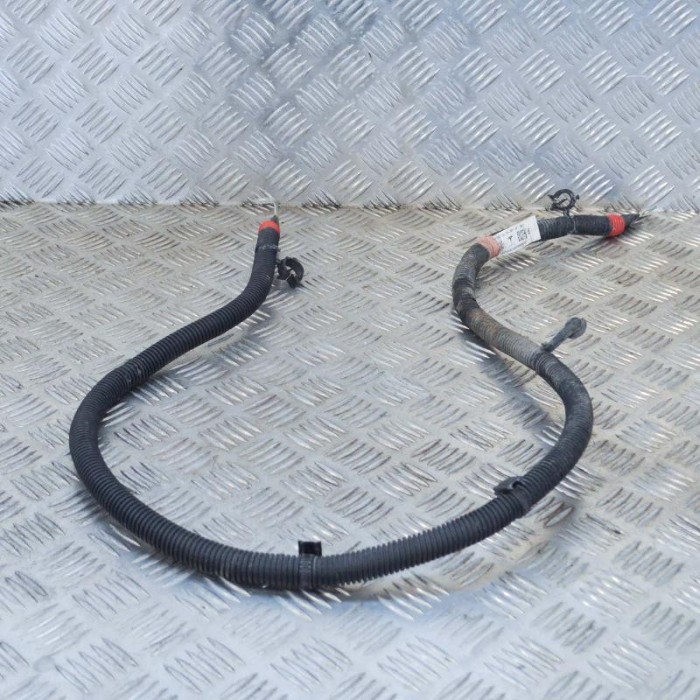 Cablu baterie pozitiv TESLA MODEL X 2016 OEM: 1036885-00-D 10041986
