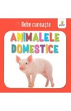 Animalele domestice - Bebe cunoaste