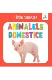 Animalele domestice - Bebe cunoaste