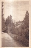 Sinaia. Castelul Peles (Necirculata)