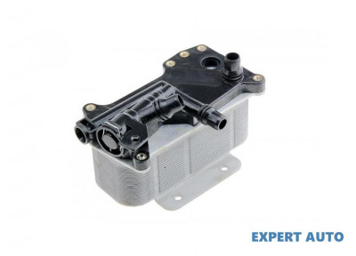 Radiator racire ulei BMW X5 (2007-&amp;gt;) [E70] #1 foto
