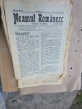 Neamul Rom&acirc;nesc - nr 124, 18 octombrie 1926