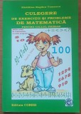 Culegere De Probleme Si Exercitii De Matematica Pentru Ciclul Primar - Madalina Bogdan