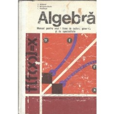 Algebra. Manual pentru anul I licee de cultura generala si de specialitate - L. Panaitopol, Zlate Bogdanof