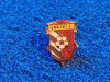 Insigna fotbal - VORSKLA POLTAVA (Ucraina)