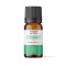 Ulei esential de menta creata (Spearmint), bio, 5ml, Wooden Spoon