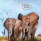 Tea with Elephants