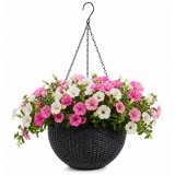 Ghiveci mare suspendat, gri, imitatie ratan, 5 Litri, 26 cm, JollyMag, ROS10GRAF