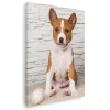 Tablou caine rasa Basenji Tablou canvas pe panza CU RAMA 50x70 cm