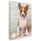 Tablou caine rasa Basenji Tablou canvas pe panza CU RAMA 50x70 cm